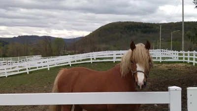 Town of Cobleskill - Photo 2