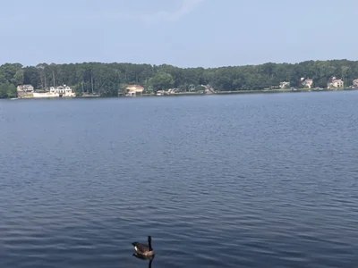 Peachtree City - Photo 2