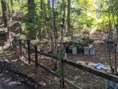 Peachtree City - Photo 3