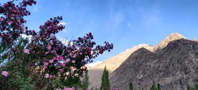 Leh - Photo 3