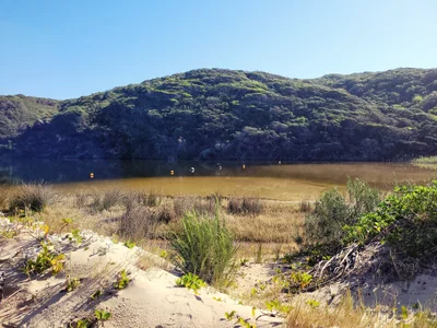 Kidd's Beach - Photo 2