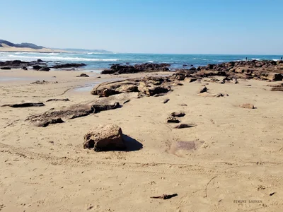 Kidd's Beach - Photo 4