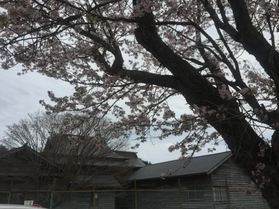 Shinhidaka - Photo 3