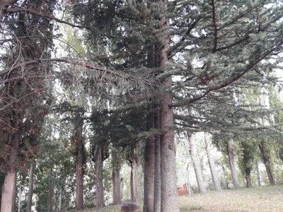 Ruta Provincial 89 - Photo 2