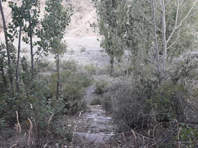 Ruta Provincial 89 - Photo 3
