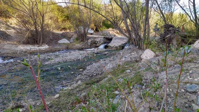 Ruta Provincial 89 - Photo 5