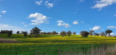 Blayney Shire Council - Photo 3