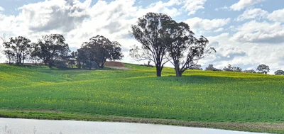 Blayney Shire Council - Photo 4