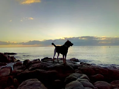 Dunsborough - Photo 4