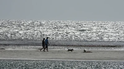 Dunsborough - Photo 5