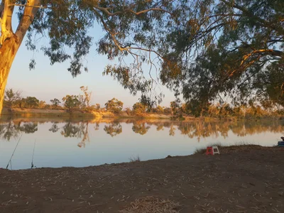 Renmark Paringa Council - Photo 2