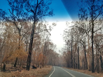 Nattai - Photo 2