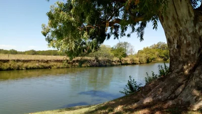 Partido de San Antonio de Areco - Photo 5