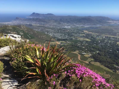 Noordhoek - Photo 2