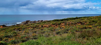 Port Neill - Photo 4