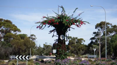 The Berri Barmera Council - Photo 3