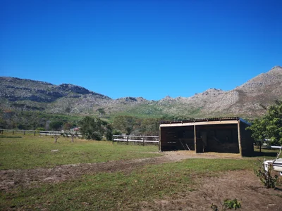 Redhill Informal Settlement - Photo 2