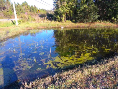 Middleburg - Photo 3