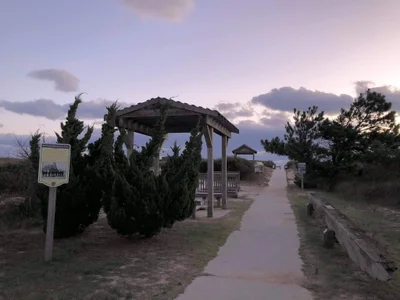 Beachwood - Photo 4