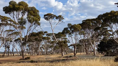 Shire Of Gnowangerup - Photo 2