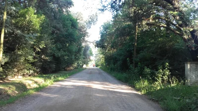 La Lonja - Photo 2