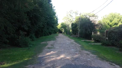 La Lonja - Photo 3