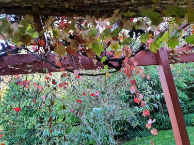 Mittagong - Photo 2