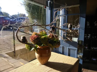 Berrima - Photo 2