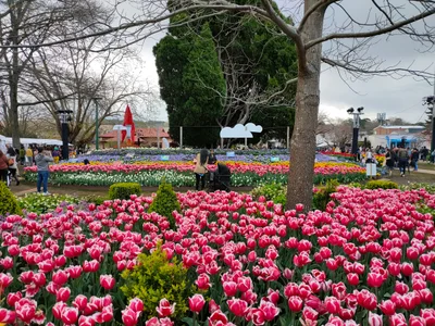 Bowral - Photo 3