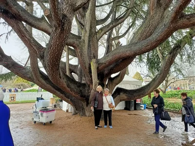 Bowral - Photo 4