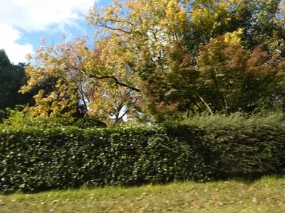 Burradoo - Photo 2