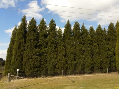 Burradoo - Photo 4