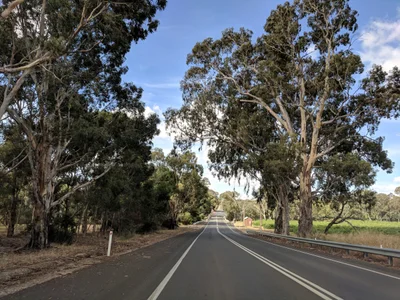 The Barossa Council - Photo 3