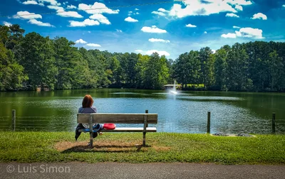Suwanee - Photo 3