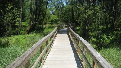 Town of Orchard Park - Photo 2