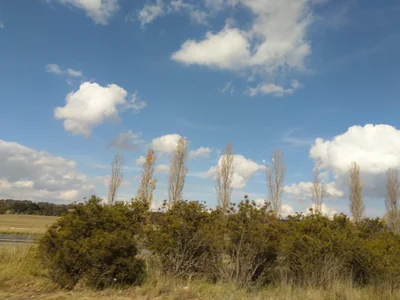 Goulburn Mulwaree Council - Photo 3