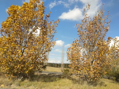 Goulburn Mulwaree Council - Photo 4