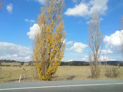 Goulburn Mulwaree Council - Photo 5