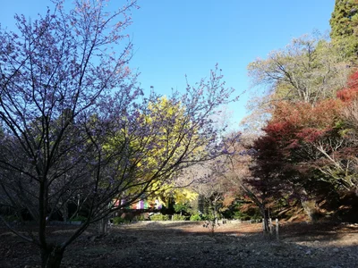 Miyoshi - Photo 2