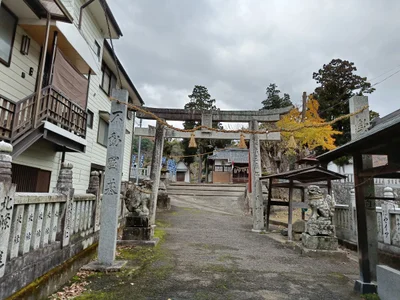 Miyoshi - Photo 3