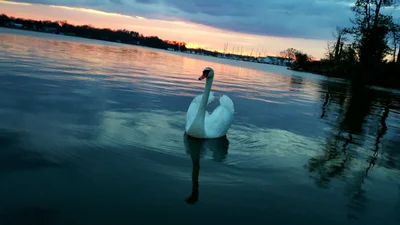 Colonial Beach - Photo 5