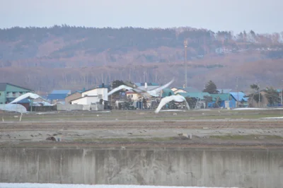 Tobetsu - Photo 3