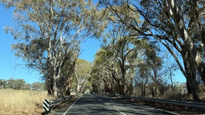Woodside - Photo 4