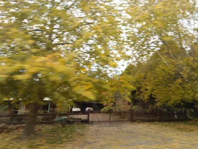 Gundaroo - Photo 3