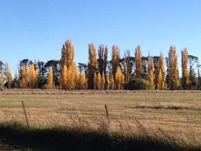 Gundaroo - Photo 5