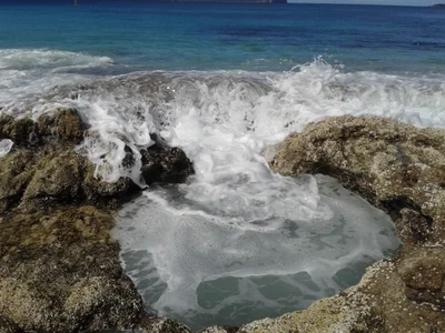 Hyams Beach - Photo 5