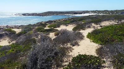 Yorke Peninsula Council - Photo 2