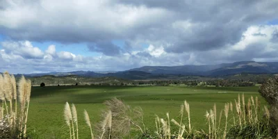 Kaikohe-Hokianga Community - Photo 3
