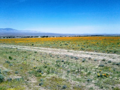 Lake Hughes - Photo 3