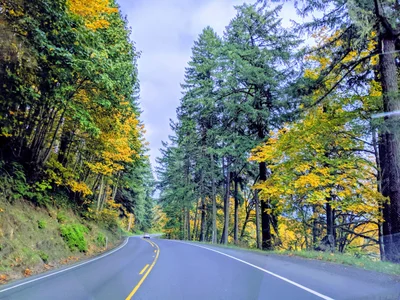Reedsport - Photo 5